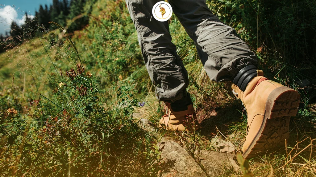 قبل از خرید، مشخص کردن نوع مسیر خود