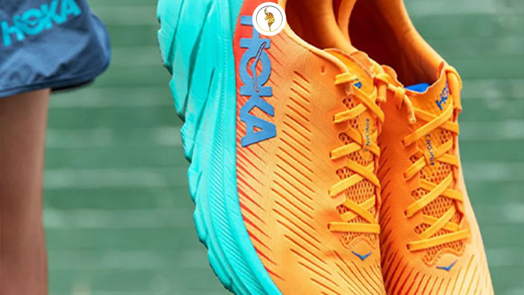 توضیح تاریخچه کوتاه هوکا