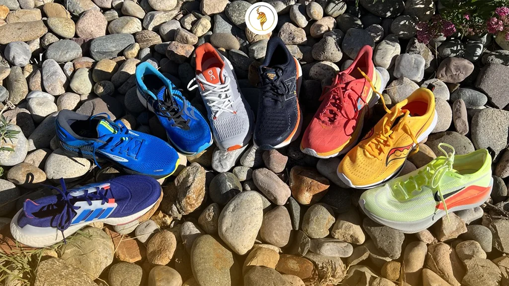 ساختار توری داخلی