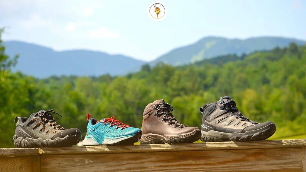 تناسب و سایز کتونی