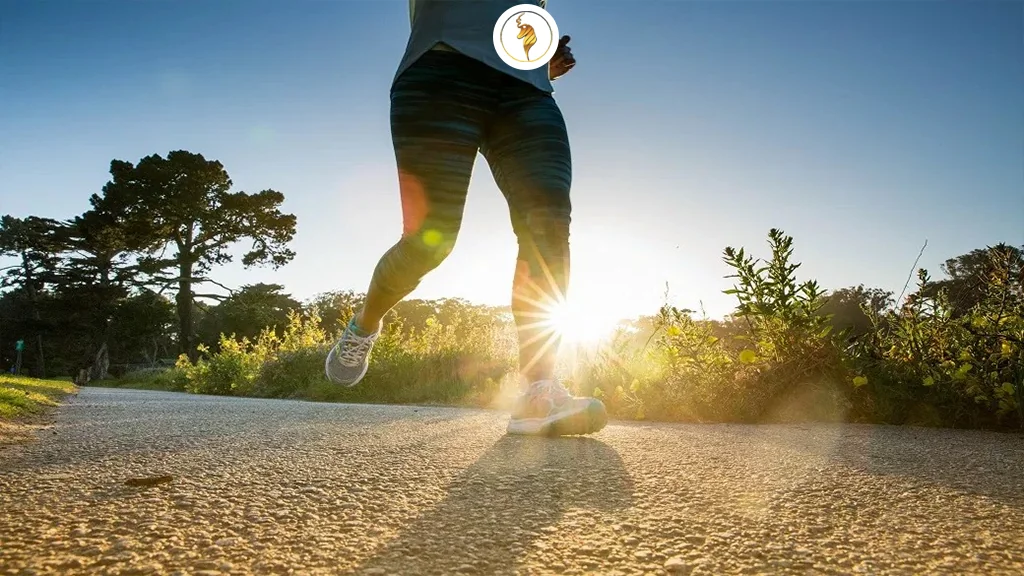 چرا نیو بالانس برای دویدن حرفهای انتخاب اول بسیاری از دوندگان است؟