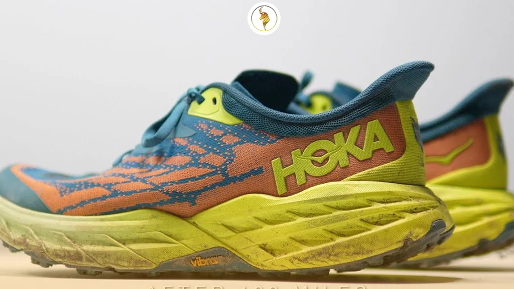 نکات انتخاب و نگهداری از مدل‌های سبک هوکا