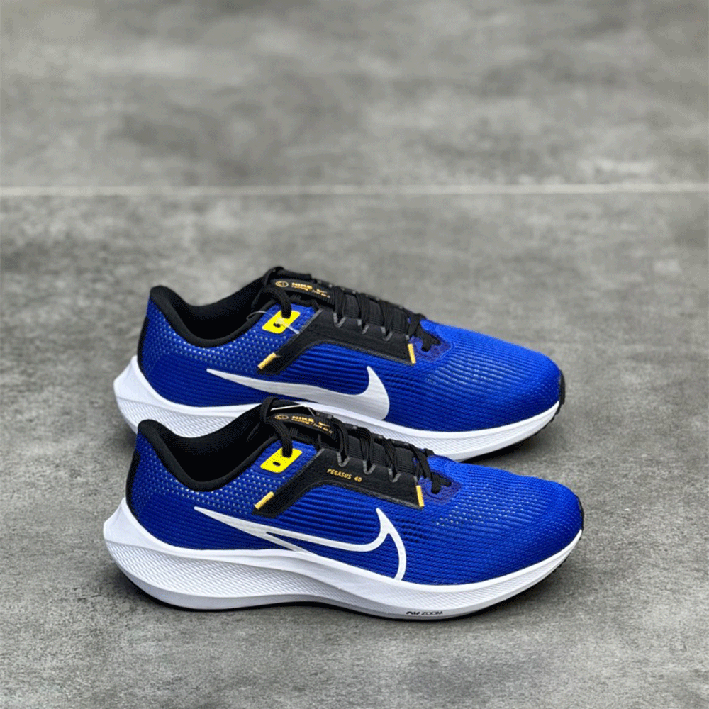 کتونی نایک پگاسوس 40 Nike pegasus 40 DV7480401